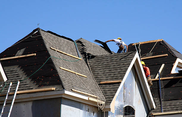 Best Roof Gutter Cleaning  in La Grange, TX